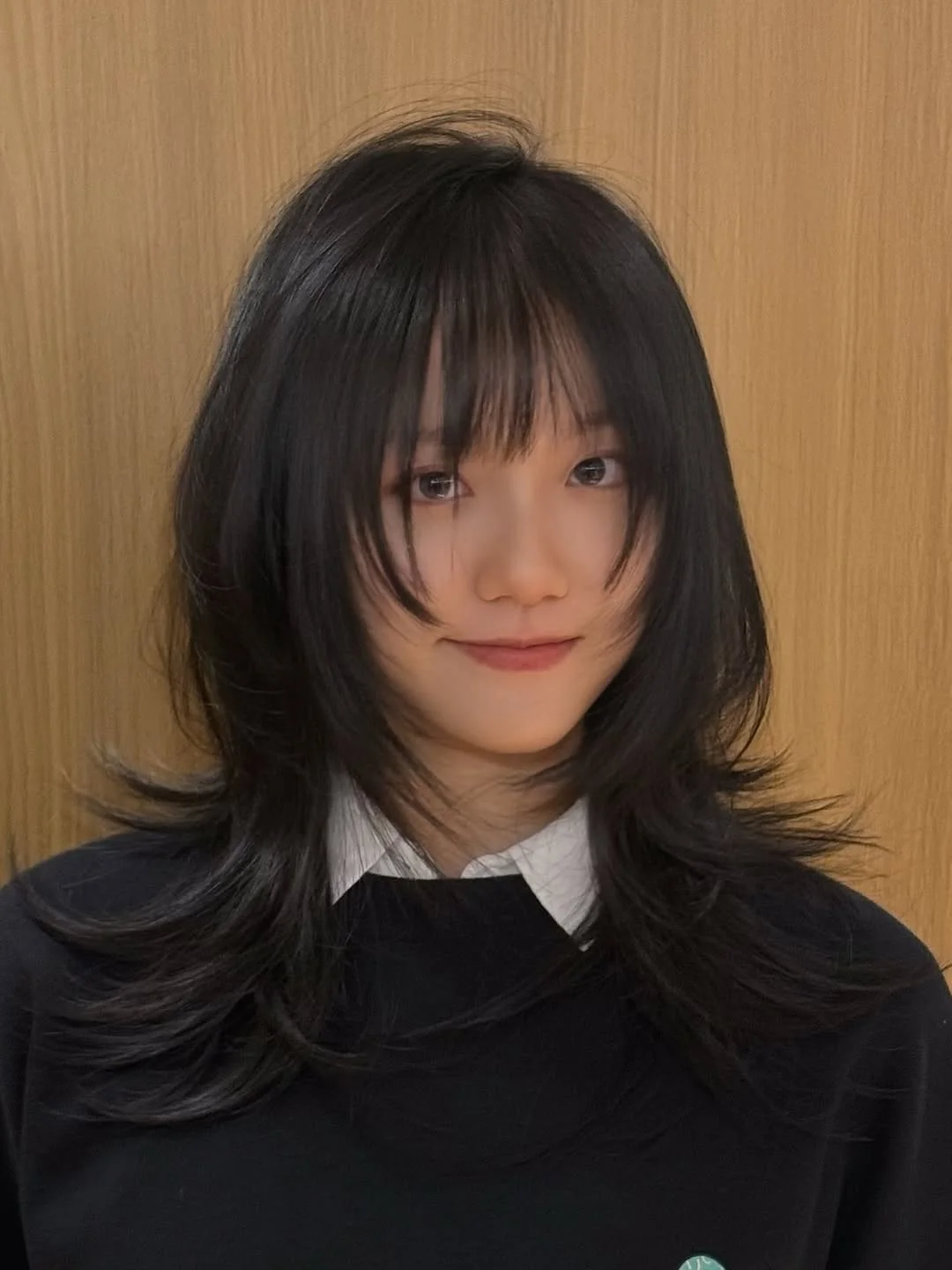 feathered summer haircuts for medium hair 2026 Glossy Midnight Feather Layers With Korean-Inspired Softness