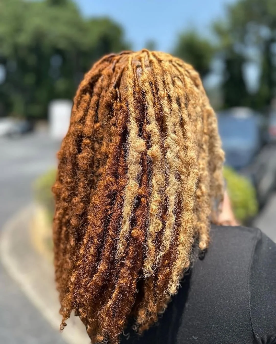 stunning summer hairstyles ideas 2026 Golden Highlighted Locs with Sunlit Dimension