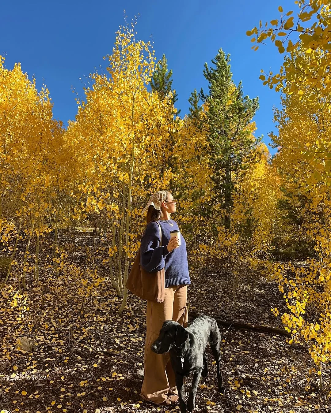 cute fall outfits docs 2026 Golden Autumn Walks in Cozy Everyday Layers