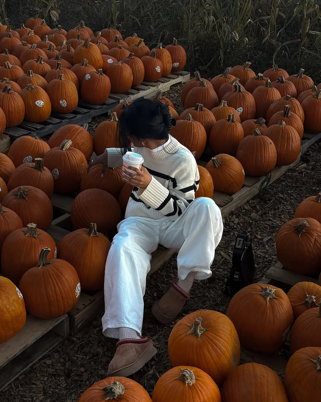 cute fall outfits docs 2026 Cozy Pumpkin Patch Neutrals That Never Go Out of Style