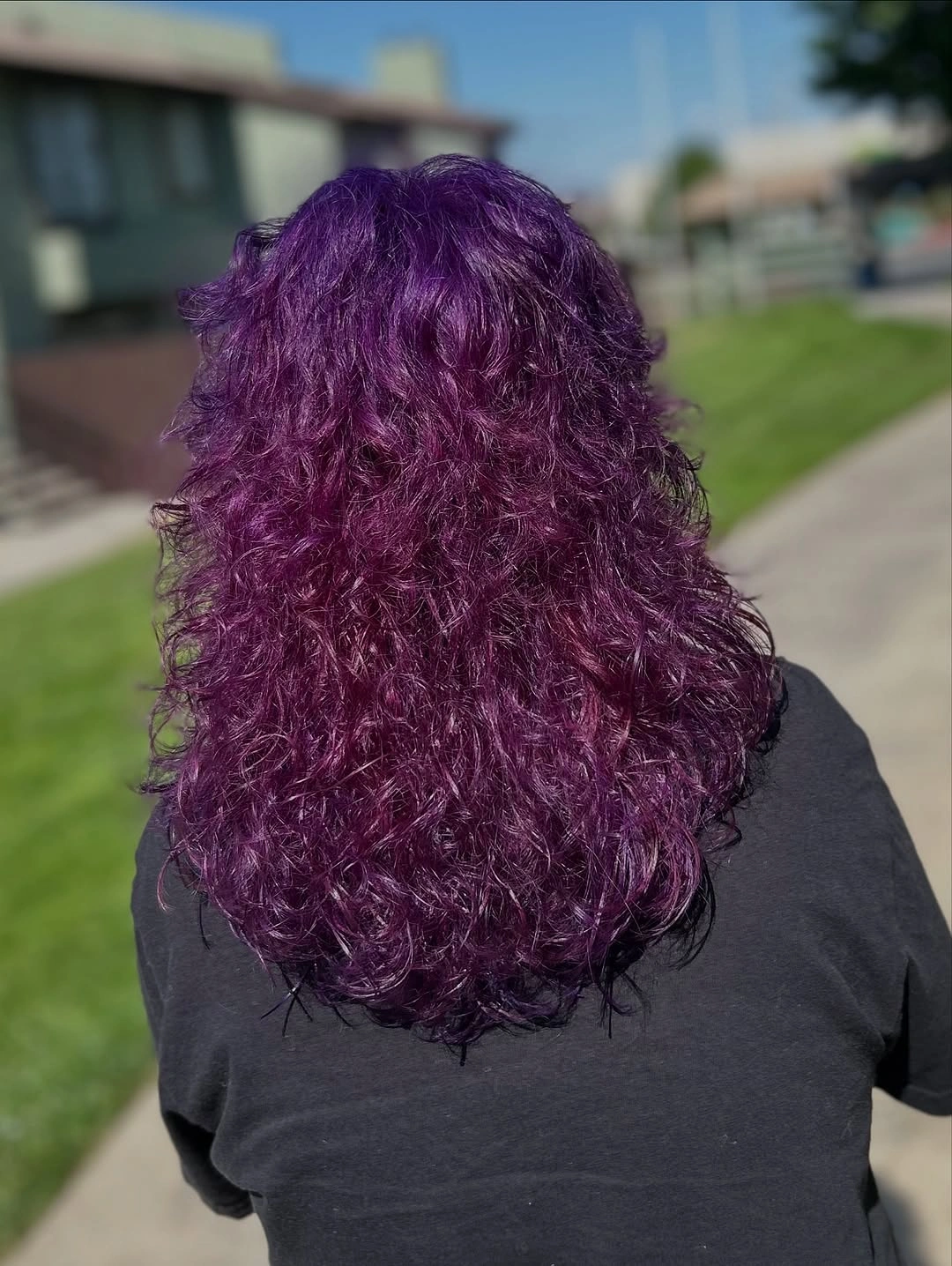 august hairstyles and color ideas 2026 Rich Violet Curly Hair Full Of Dimension