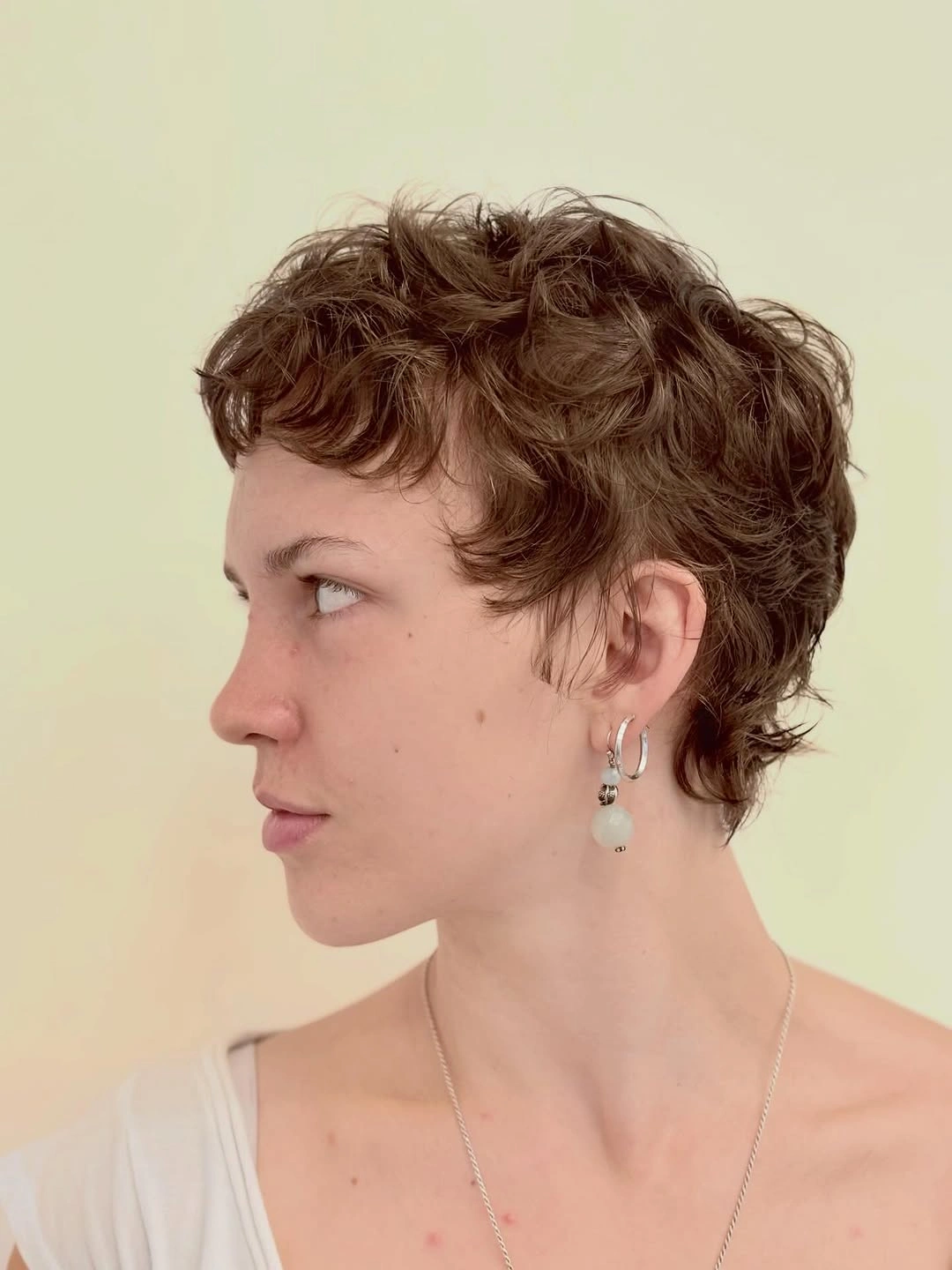 fall pixie haircut ideas 2026 Soft Curly Pixie With Natural Movement