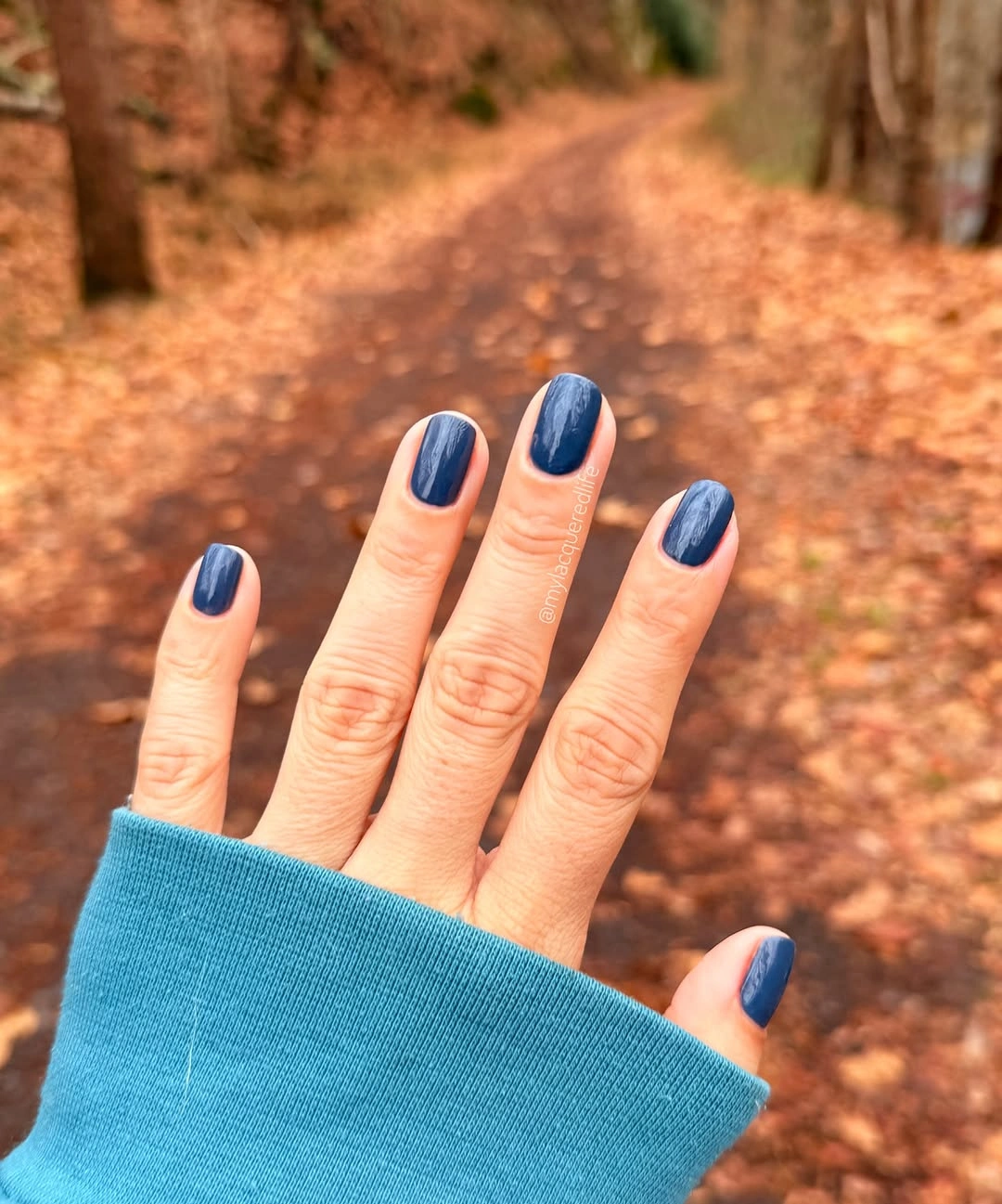 Short square navy blue autumn nails outdoors