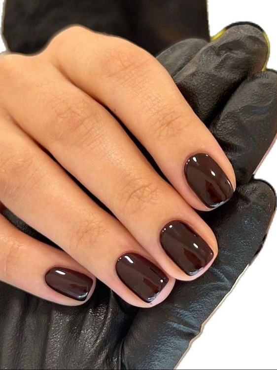 Short rounded square nails in uniform glossy deep brown