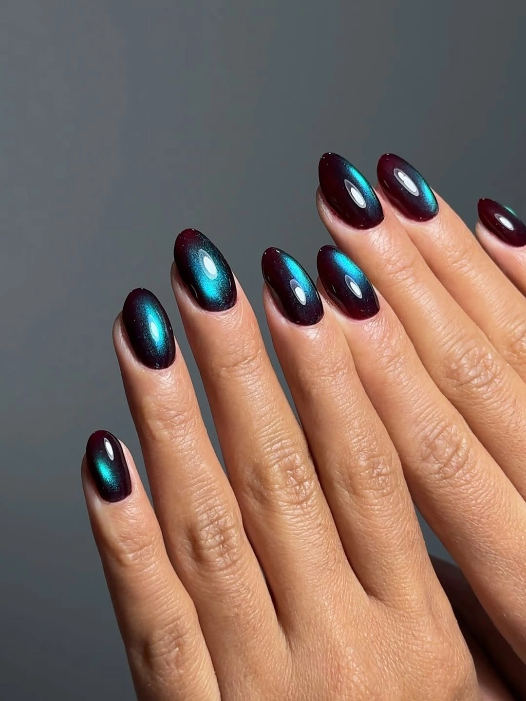 Dark Teal with a Bright Blue Reflective Band