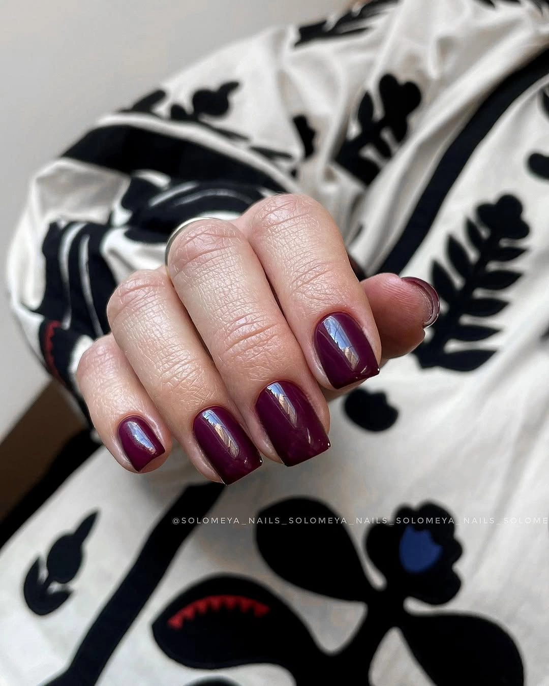 Glossy Plum on a Compact Rounded Shape