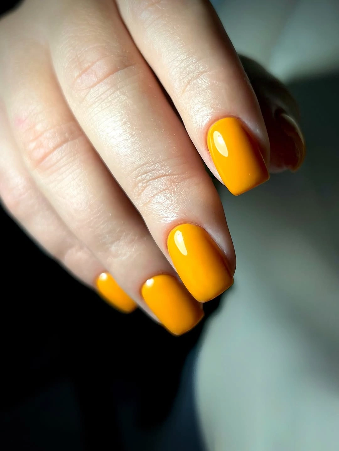 Marigold Orange with a Dark Framing Edge