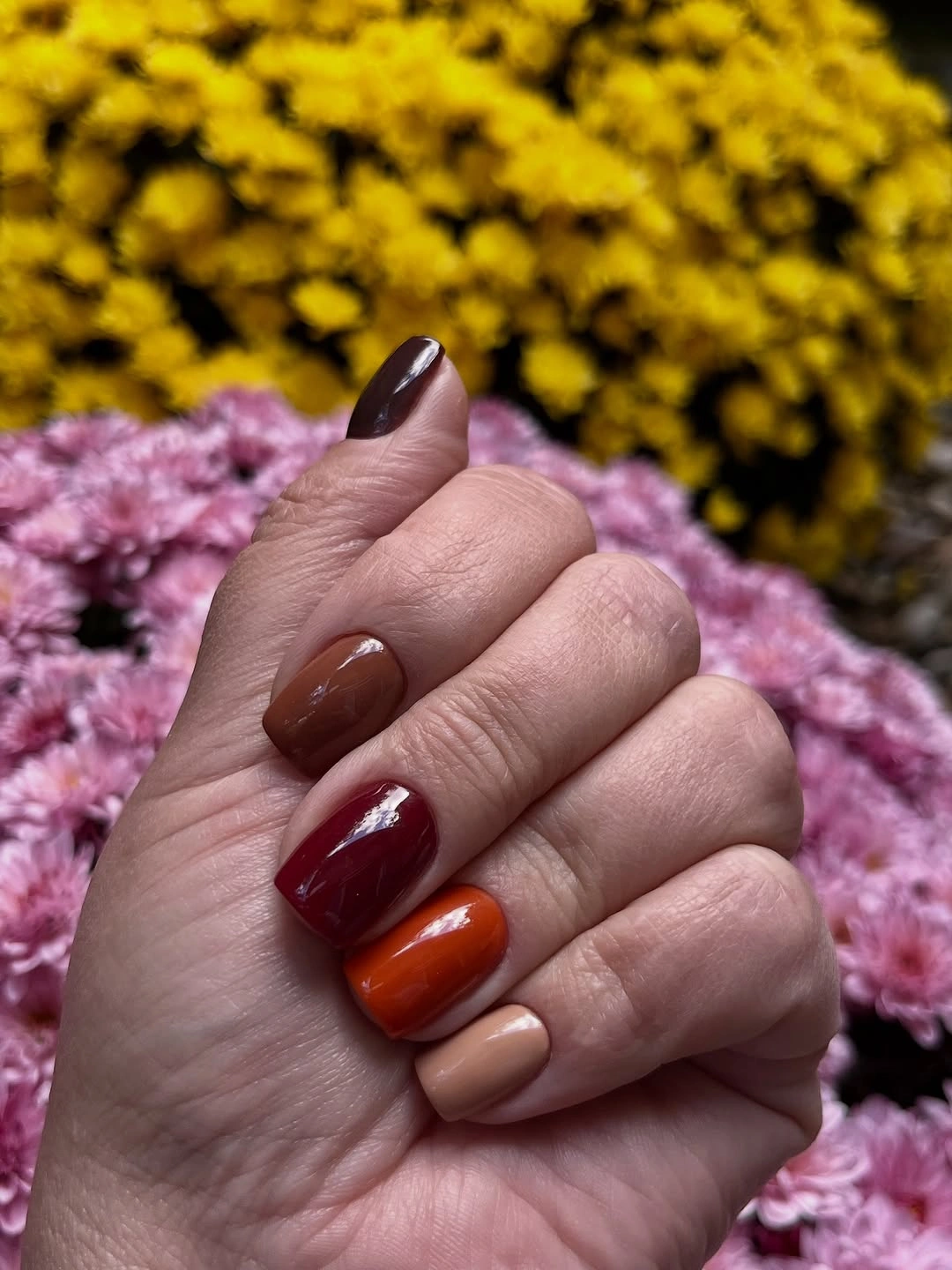 Burgundy, Burnt Orange, Cream, and Nude