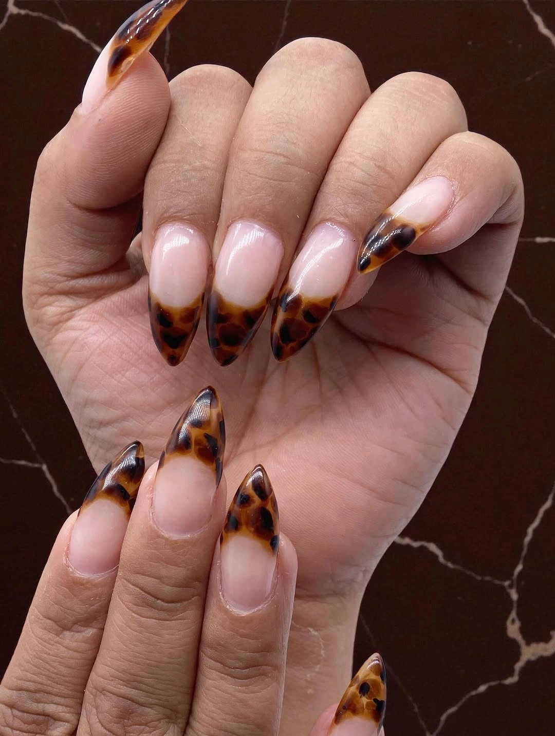 Long pointed nails with warm tortoiseshell French tips