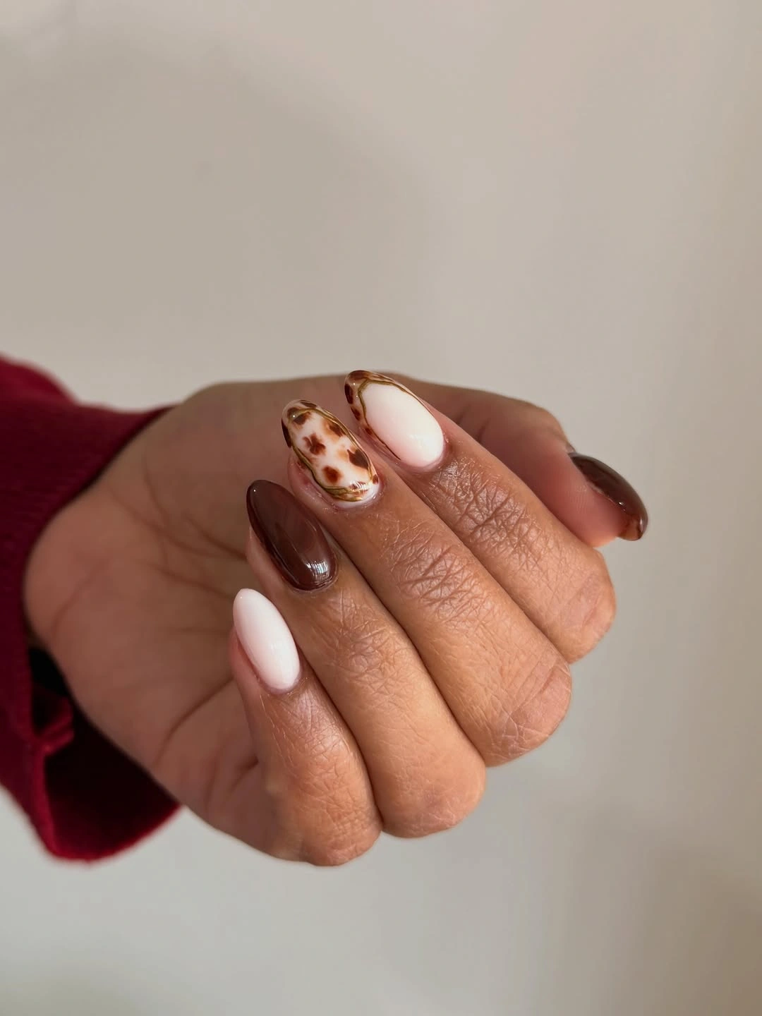 Short rounded nails in chocolate brown and cream with one patterned accent