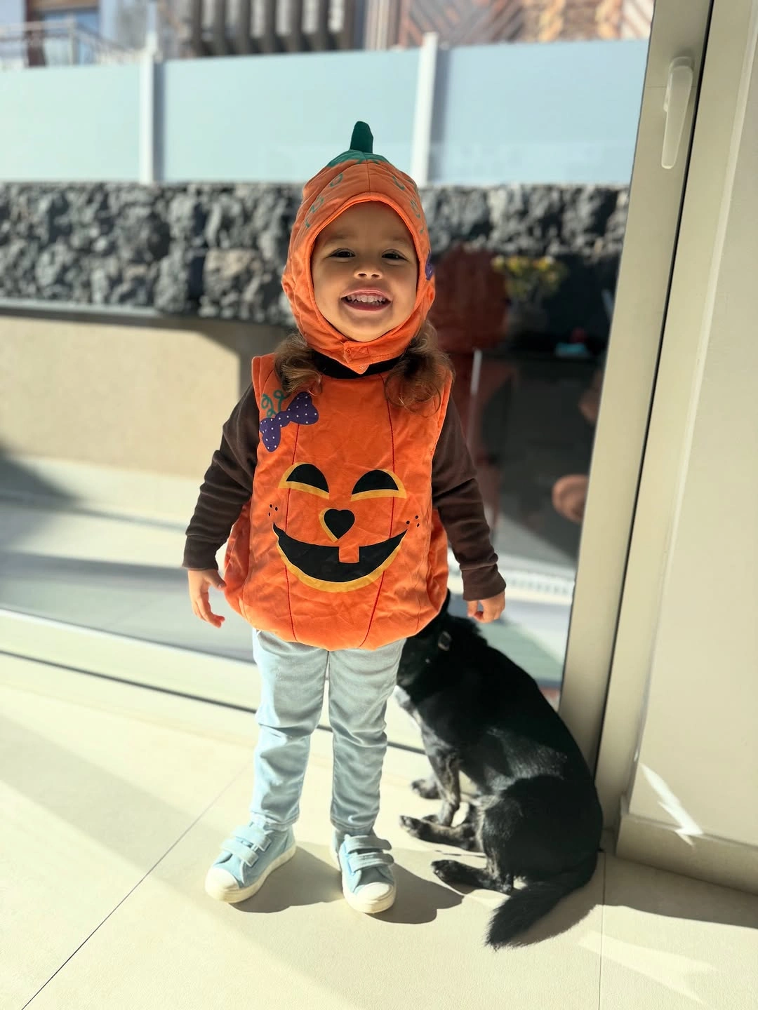 Toddler pumpkin vest costume with orange hat black sleeves gray pants and sneakers
