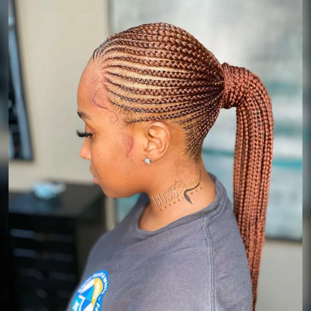 Warm medium-brown braids gathered into a long high ponytail