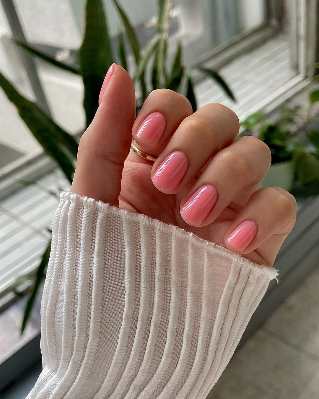 Short glossy pink nails in a clean rounded-square shape