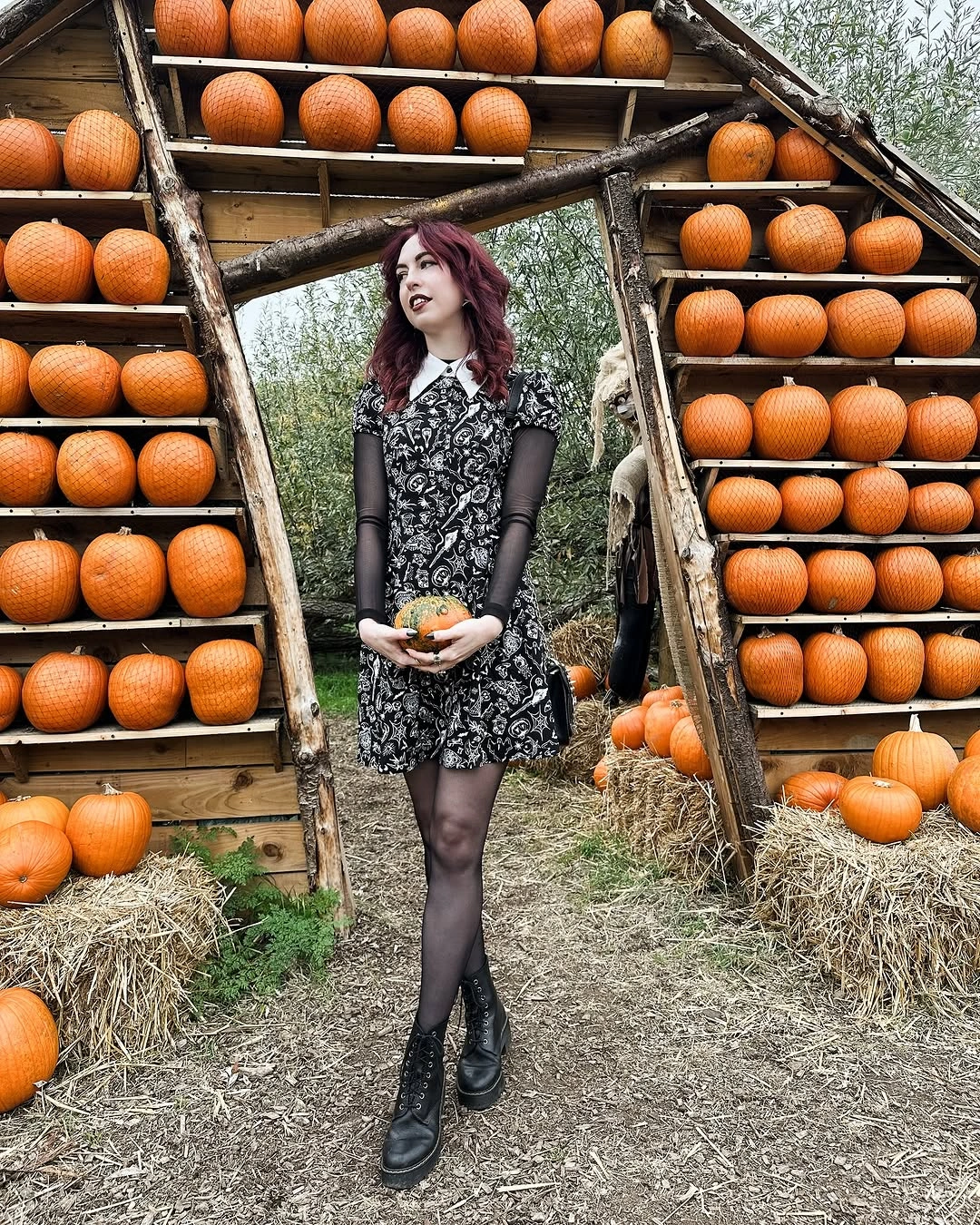 Black-and-white spotted mini dress with black tights boots and pumpkin backdrop