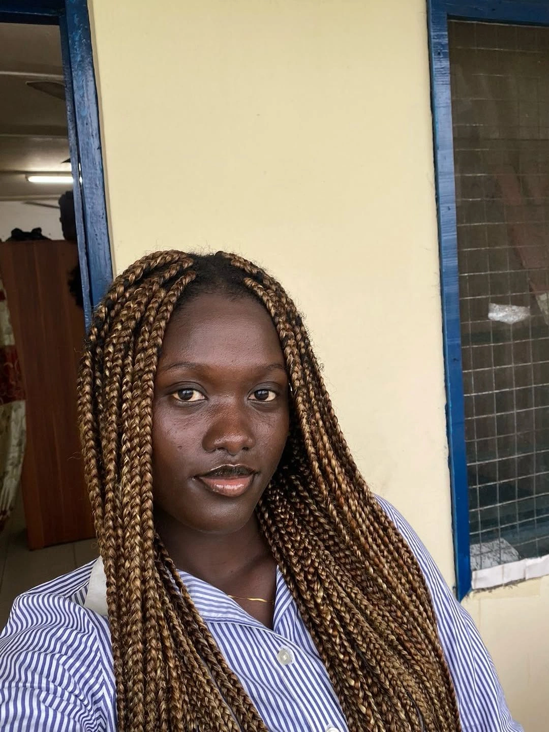 Long small braids with brown and honey tones past shoulders