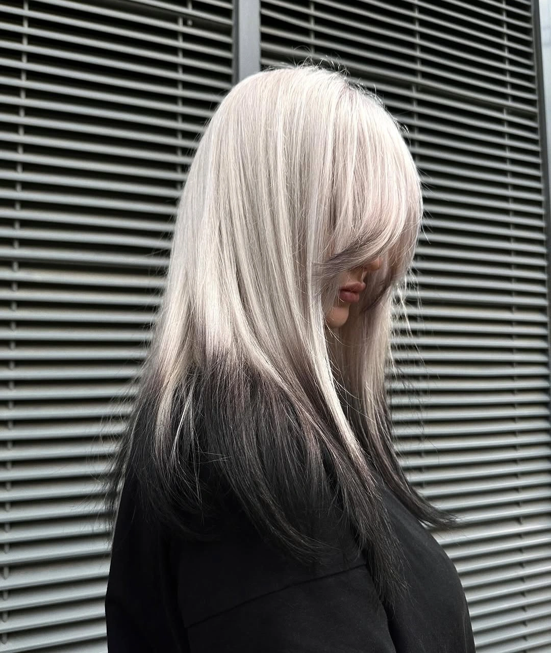 Long silver beige hair over deep black underlayer