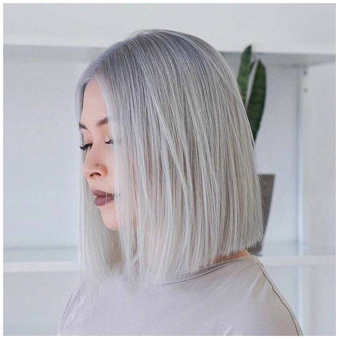 Short icy gray blunt bob with longer front edge